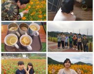 사회적응훈련실시