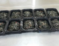 푸드지원