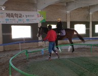 세상속으로(승마체험)