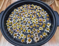 2022년 평생교육활성화지원사업 쓰리Go(꽃차마이스터자격과정-5회기)