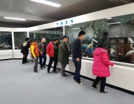 주간보호실 사회적응훈련 실시